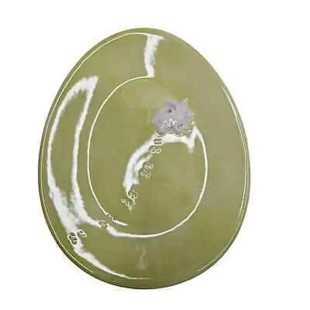 Williams-Sonoma Egg Plate Platter‎ Lime Green Glaze 9